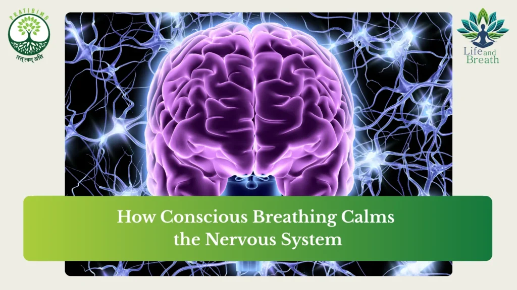 conscious breathing for nervous system