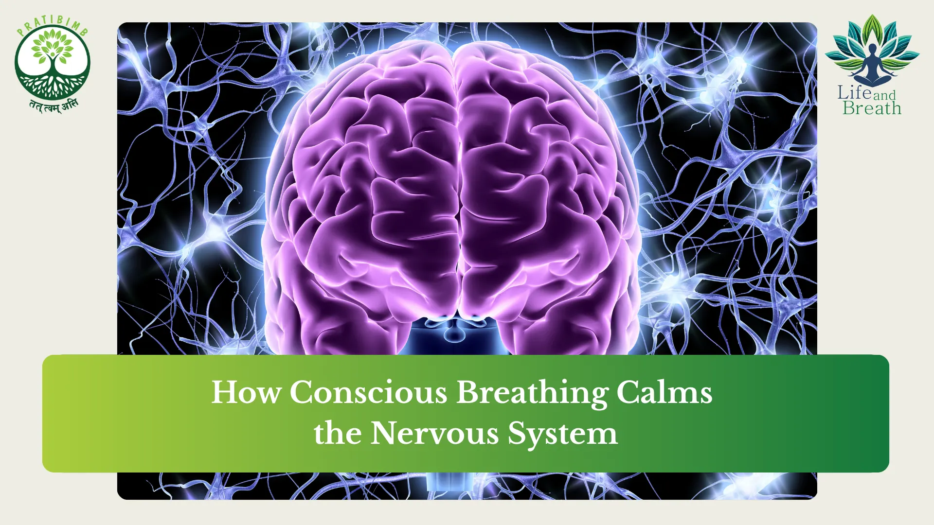conscious breathing for nervous system