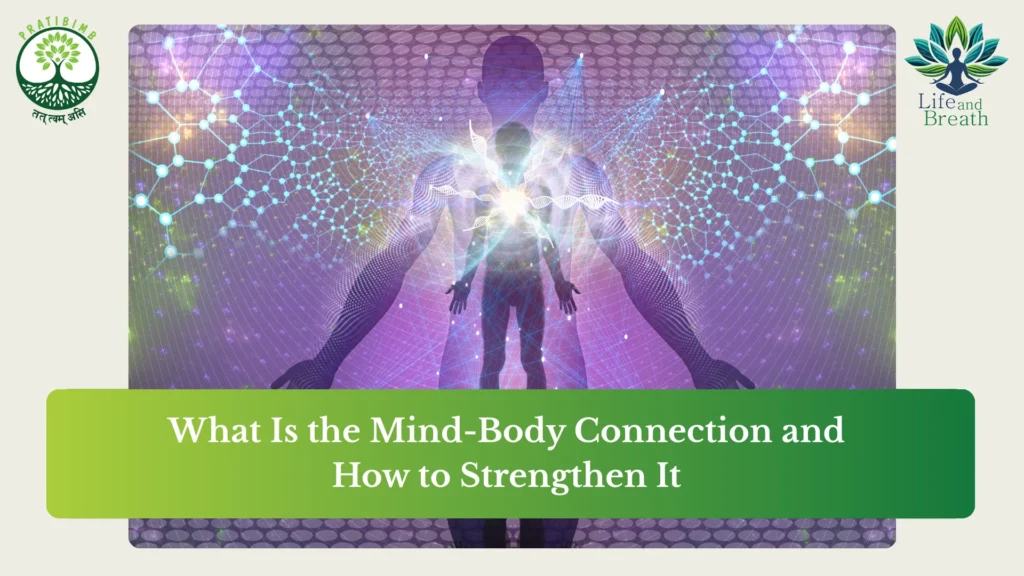 meditation and mindfulness