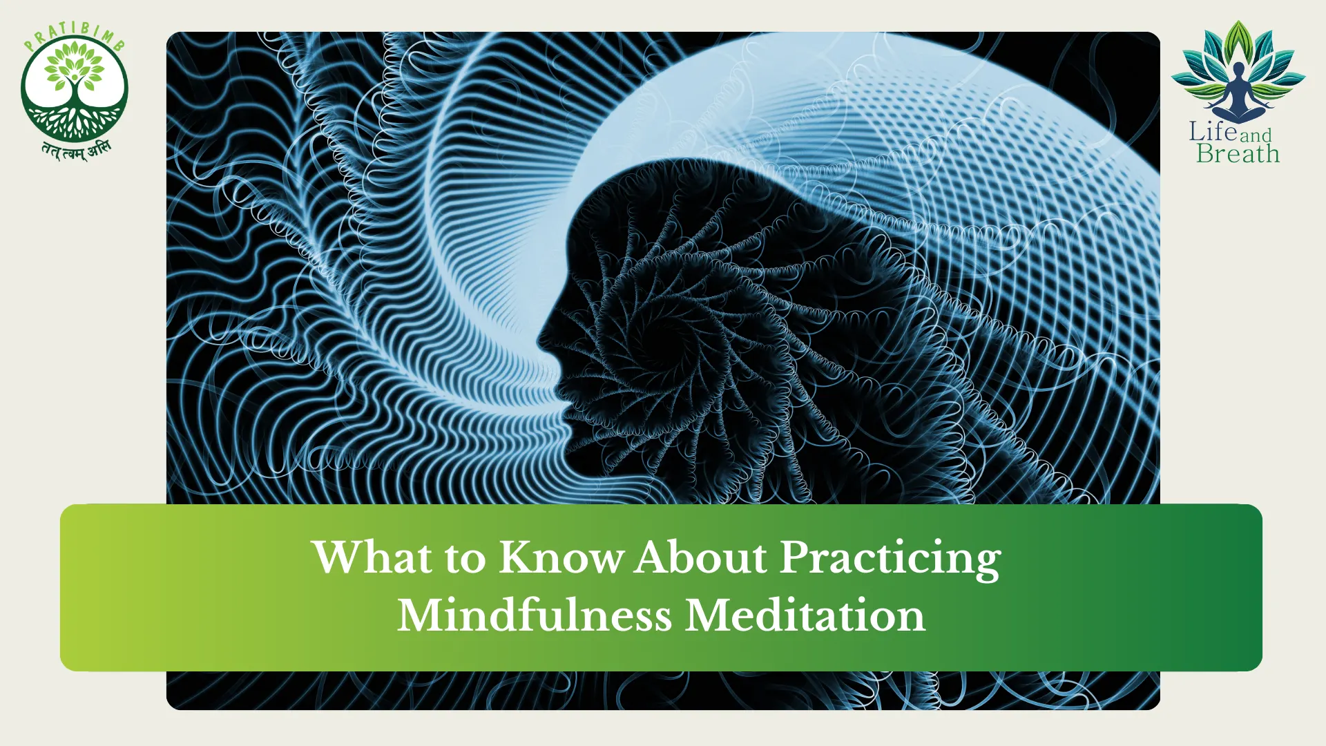 meditation and mindfulness