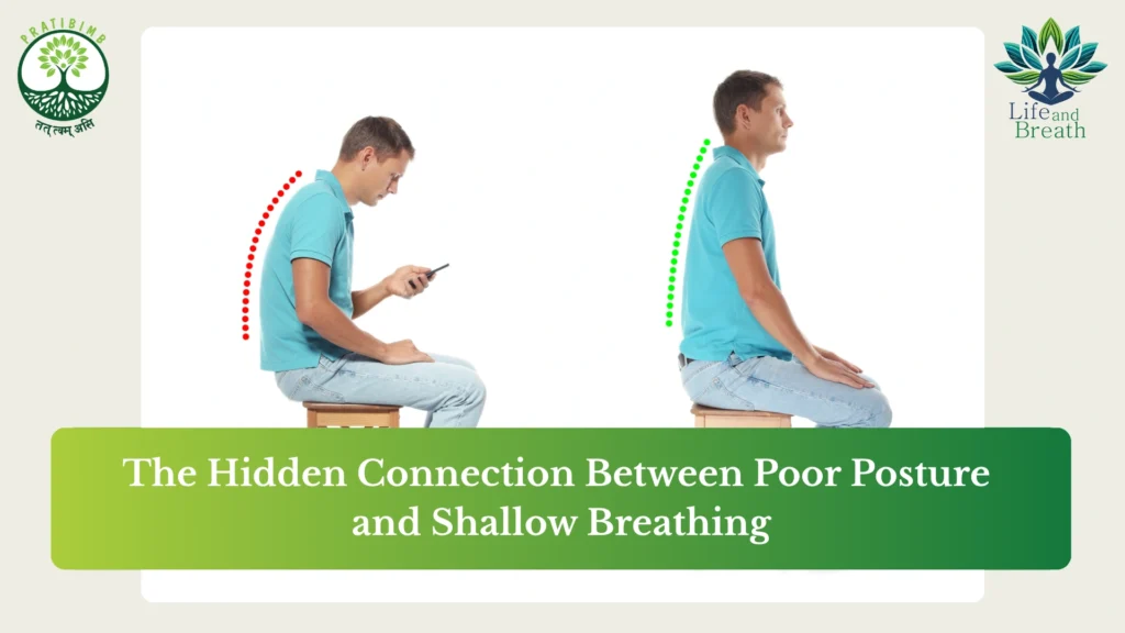 how posture affects breathing